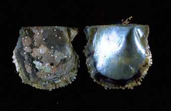 a0030061_1426645.jpg