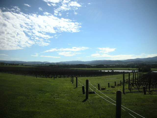 c0148362_27332.jpg