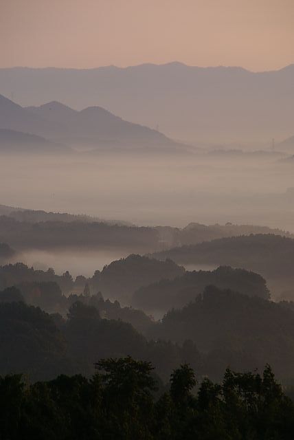 雲海を見に_e0010568_2025598.jpg