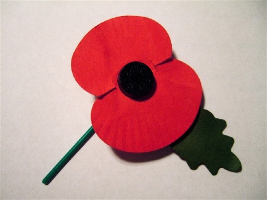 Poppy Appeal イギリスの募金 Uk Now Yk Now Poppy Appeal イギリスの募金 Uk Now Yk Now