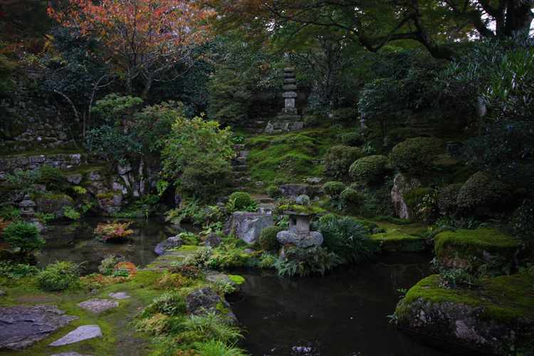 紅葉と桜が出逢う場所_e0051888_1784552.jpg