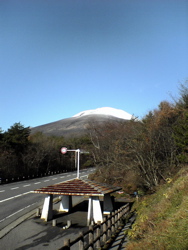 枯れ木に花。_d0028589_23412599.jpg