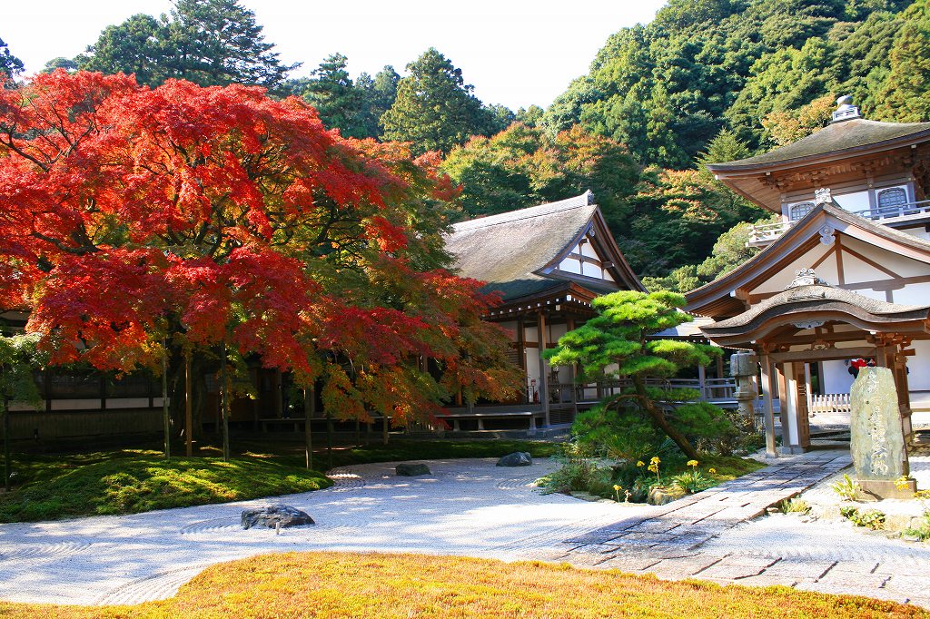 雷山千如寺の大楓（07.11.14前原市）_d0070189_2148478.jpg