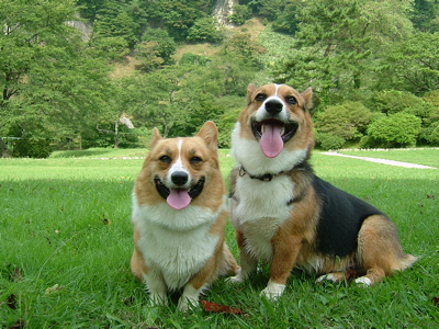 a0033493_22303037.jpg