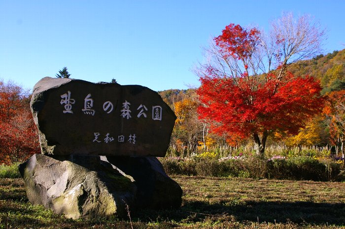 　　　　　１１月１２日　　山梨県_c0061695_11122311.jpg