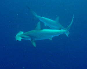 c0097095_20512552.jpg