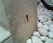 c0135795_16233431.jpg