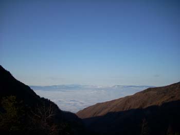 e0120896_8535897.jpg