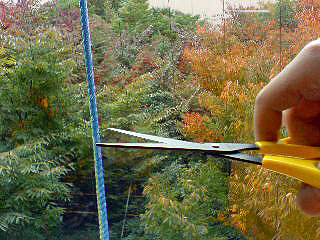 b0052998_10301892.jpg