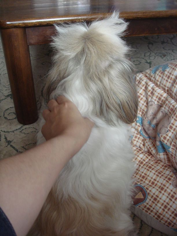 1日30分~_c0090198_23343169.jpg