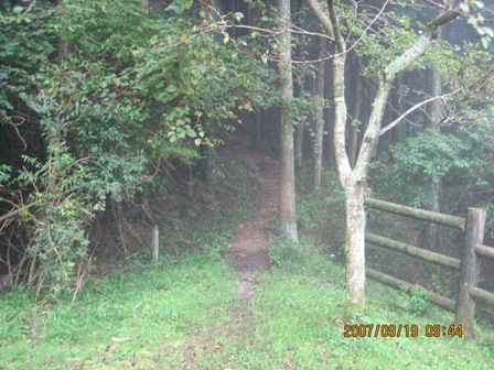 c0147398_2020228.jpg