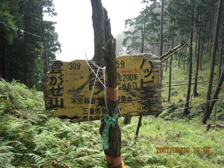 c0147398_20234032.jpg