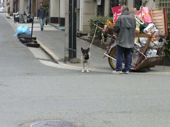 f0146198_016740.jpg