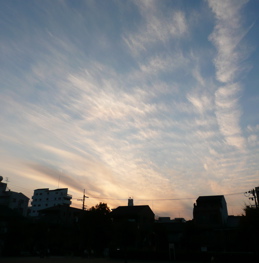 f0146198_1362347.jpg