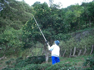 c0125501_21474832.jpg