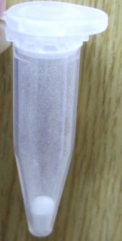 d0079302_1719304.jpg