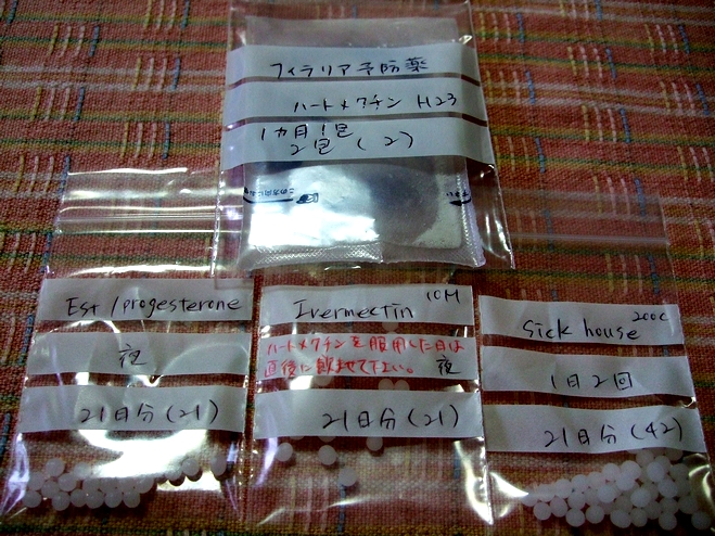 d0079302_17334990.jpg