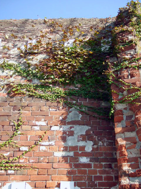 d0122703_21542597.jpg