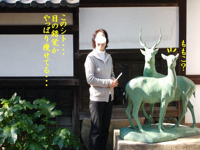 e0094407_2154022.jpg