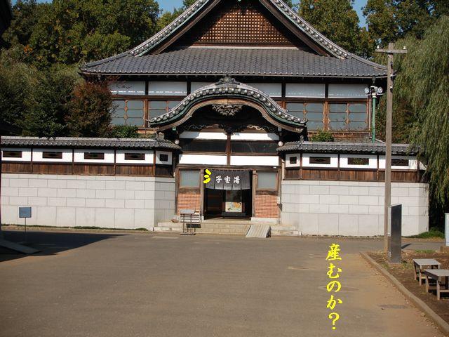e0094407_23355851.jpg