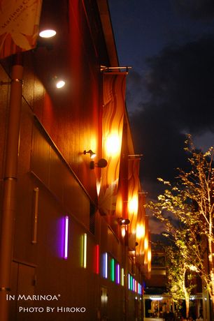 c0113508_1340772.jpg