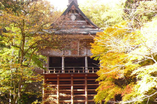 里にも秋～清水寺_c0035912_17204079.jpg