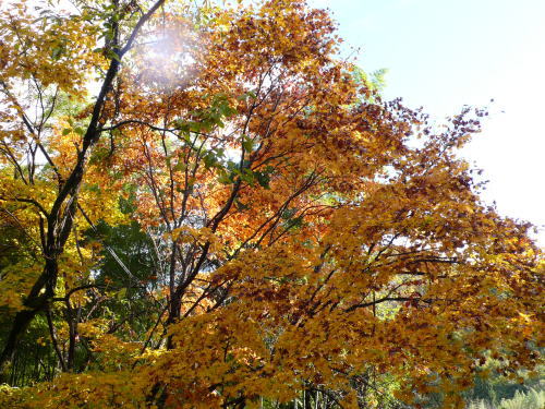 c0035912_17222630.jpg