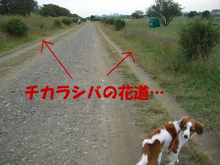 c0065512_14152353.jpg