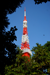 d0113613_15125125.jpg