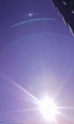 e0009714_03095.jpg