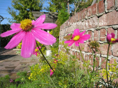 f0155120_16172358.gif