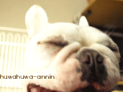f0155120_1619678.gif