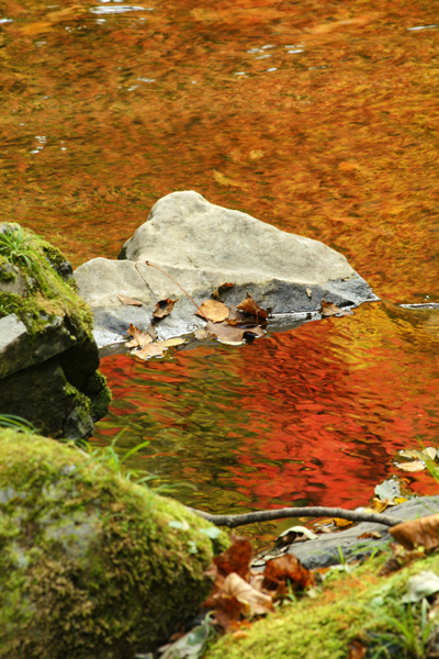 神庭の滝の紅葉_f0060722_22141875.jpg