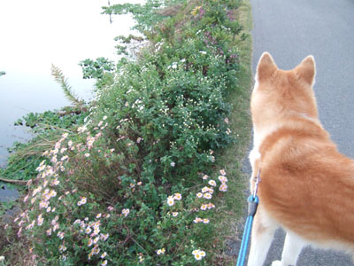 f0008935_08335.jpg