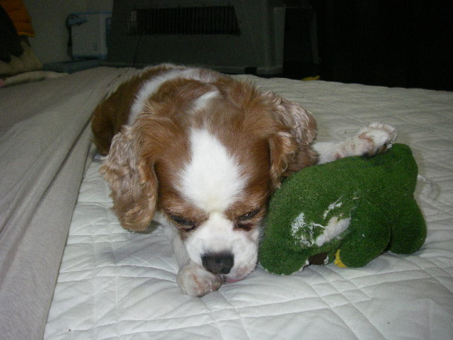 c0136838_05577.jpg