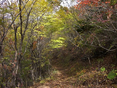 坪沼の愛宕山界隈に送電線を辿って_f0003138_12214632.jpg