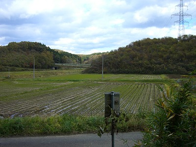 坪沼の愛宕山界隈に送電線を辿って_f0003138_12281366.jpg