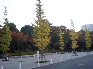 e0067640_12433791.jpg
