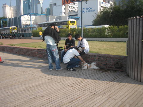 e0018143_143359.jpg