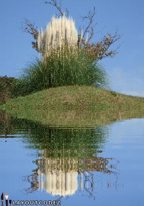 c0009855_7234024.gif