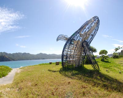 小笠原紀行９　父島最終日、母島へ。_e0035757_1821574.jpg