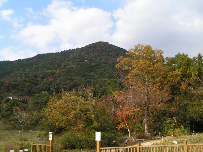 一昨日の佐賀平野_c0065260_20565982.jpg