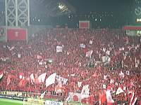 AFCアジアチャンピオンズリーグ2007　浦和レッズ優勝！_a0030168_9465727.jpg