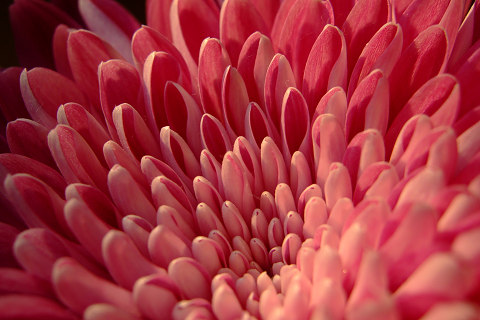e0045768_2210915.jpg