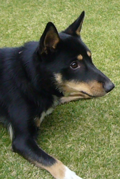 c0039376_19274069.jpg