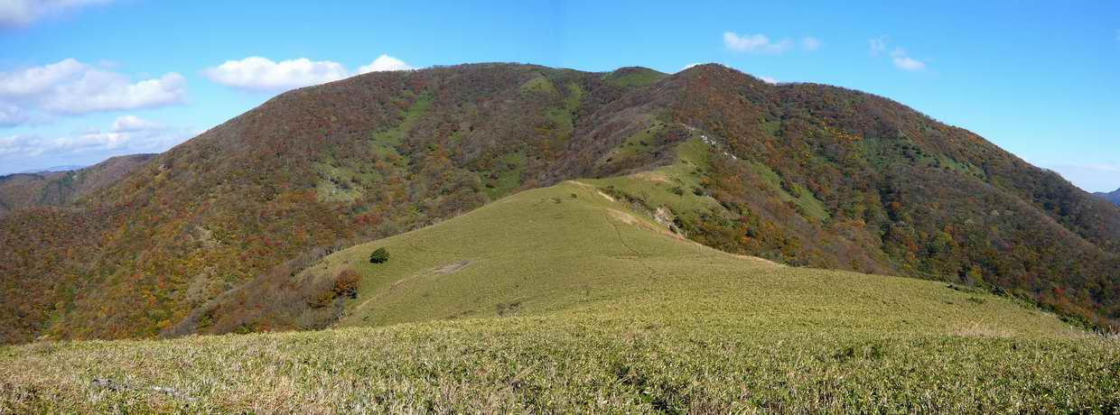 清水頭から雨乞岳（１２３８ｍ）へ_e0110500_145050.jpg