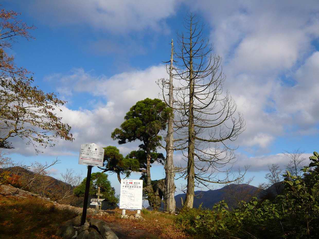 清水頭から雨乞岳（１２３８ｍ）へ_e0110500_1534848.jpg