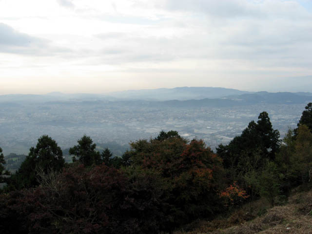 e0122501_110832.jpg