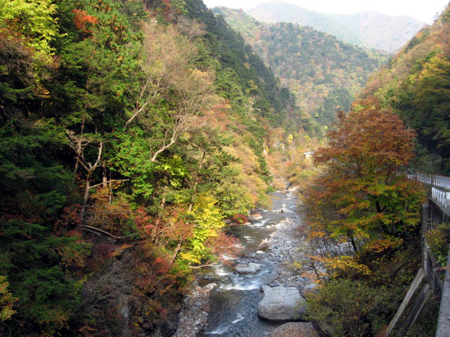 e0122501_2532181.jpg