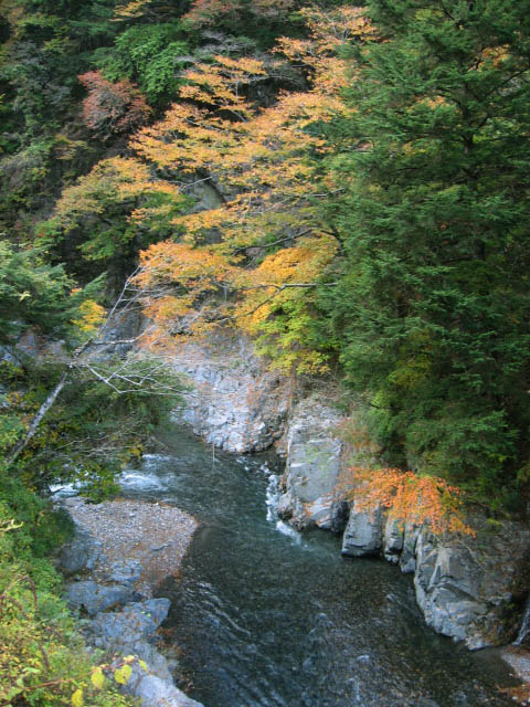 e0122501_2534186.jpg